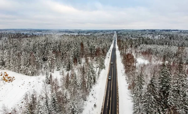 Sveç Kış Yol Çam Ağaçlarının Doğal Görünümü — Stok fotoğraf