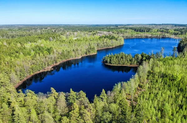 Vista Aérea Sobre Lago Sueco Primavera — Fotografia de Stock