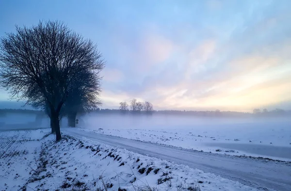 Frozy Rano Krajobraz Sezonie Zimowym — Zdjęcie stockowe