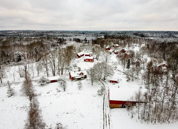Vacker Utsikt Över Svensk Vinter — Stockfoto