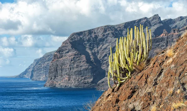 Los Gigantes Symbolic Cliffs Tenerife Stock Image