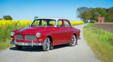 Sarı çiçek arka plan üzerinde kırmızı retro araba 