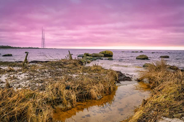 Winter Pink Sunset Swedish Sea Coast — Stock Photo, Image