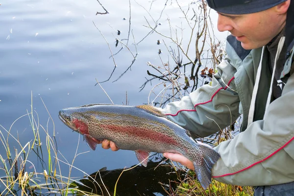 Rana pescatrice con trota iridea — Foto Stock