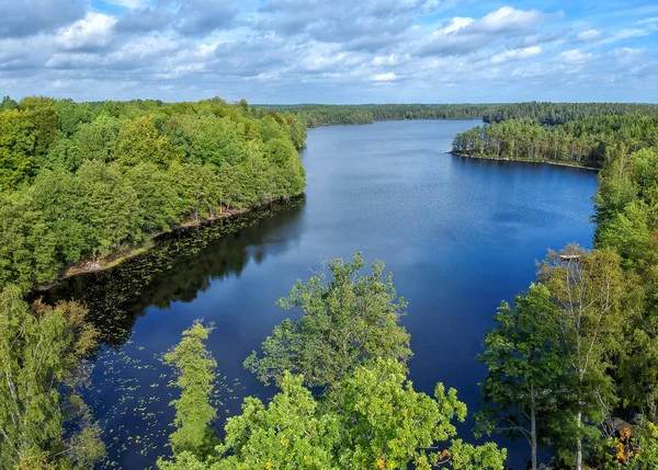Шведское Озеро Посреди Леса — стоковое фото