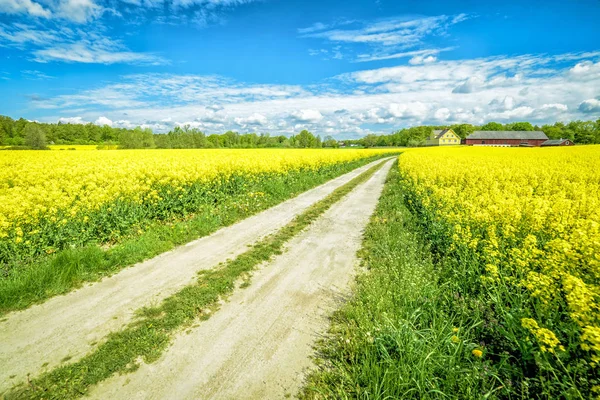 Перегляд Шведська Згвалтування Ферми Фоні Синього Неба — стокове фото