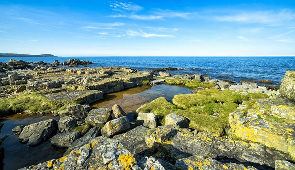 Літо Швеції Морський Краєвид Узбережжя — стокове фото