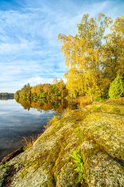 Вертикальный Вид Побережье Осеннего Озера — стоковое фото