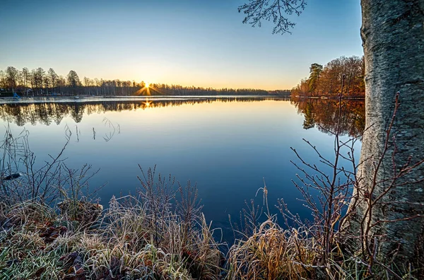 Paisaje Diciembre Por Mañana Sobre Lago Sueco —  Fotos de Stock