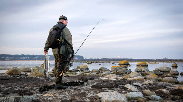 Lonely angler with big sea trout