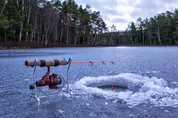 Pesca Gelo Sueca Após Truta Arco Íris — Fotografia de Stock