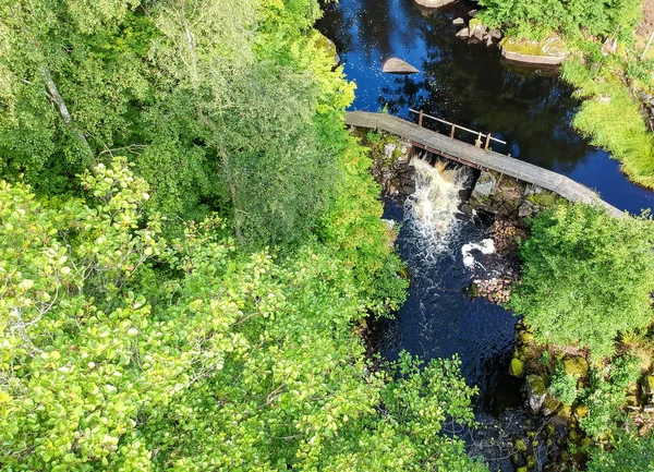 スウェーデンの森の小川 — ストック写真
