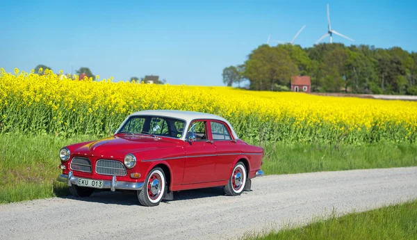 Rotes Retro Auto Auf Gelbem Blumenhintergrund — Stockfoto