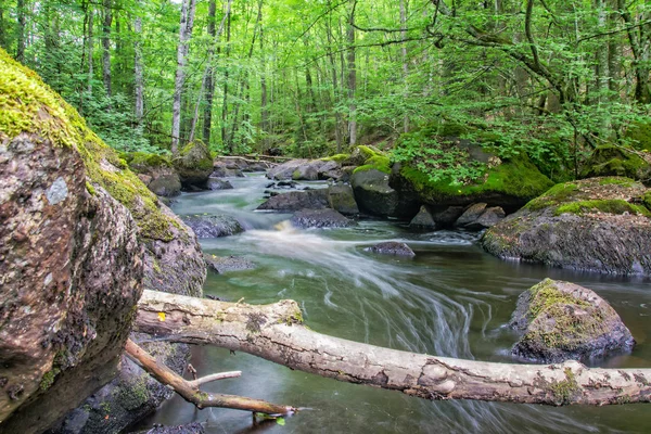 瑞典森林溪在夏天风景 — 图库照片