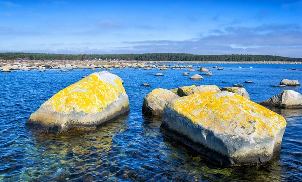 スウェーデンの自然海岸春のシーズンで — ストック写真
