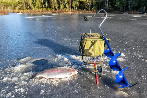 Pesca Gelo Sueca Após Truta Arco Íris — Fotografia de Stock