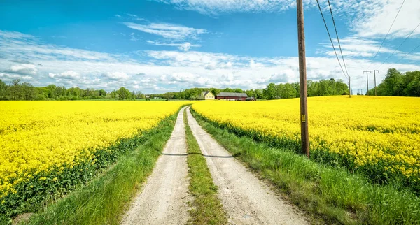 Перегляд Шведська Згвалтування Ферми Фоні Синього Неба — стокове фото