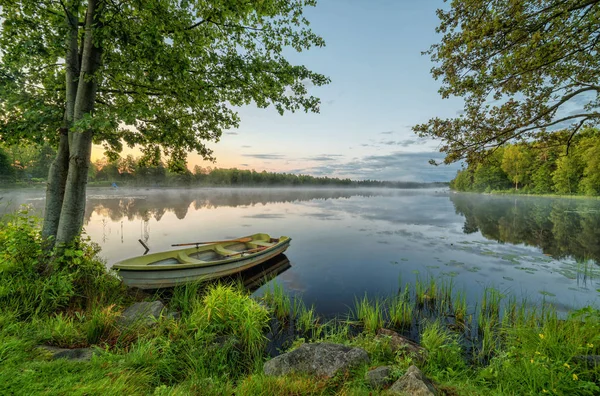 Шведский Пейзаж Летний Сезон — стоковое фото