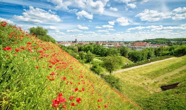 Sommar Bild Vallmo Blommor Gräsmatta Och Gdansk City — Stockfoto