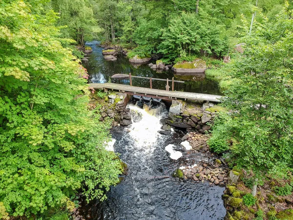 带有瀑布的瑞典小溪鸟图 — 图库照片