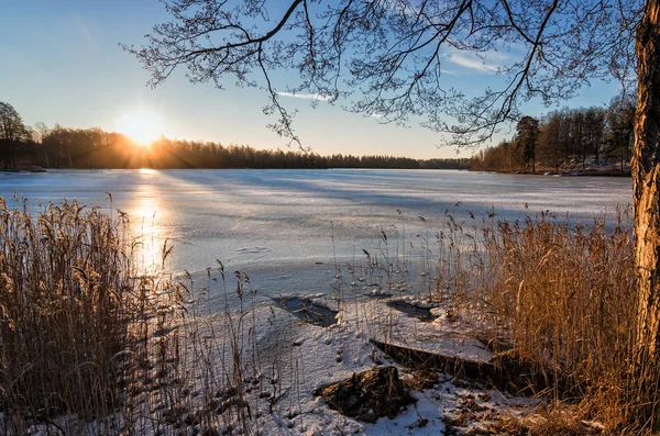 Lever Soleil Doré Sur Lac Gelé Suédois — Photo