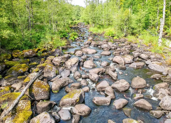 Vilda Morrum River Med Låg Vattennivå — Stockfoto
