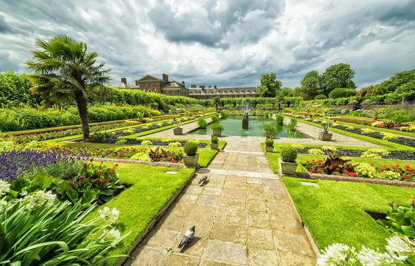 Kensington Gardens Zomer Landschap — Stockfoto