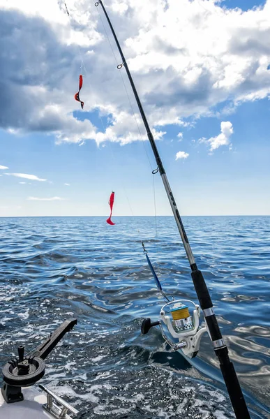 Kabeljauw Vissen Landschap Zonnige Dag — Stockfoto