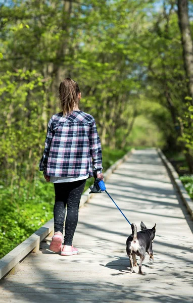 Dziewczyna Spaceru Puppy Psa Parku — Zdjęcie stockowe