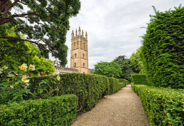 Oxford Botanic Garden Met Universiteit Toren — Stockfoto