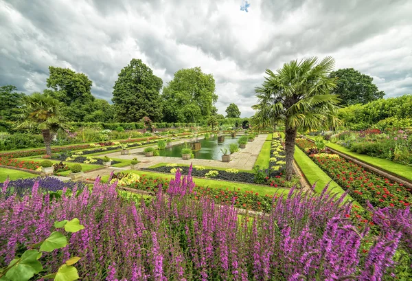 Kensington Gardens Zomer Landschap — Stockfoto