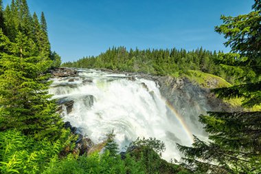 Tannforsen şelale ile yaz doğal çerçeve