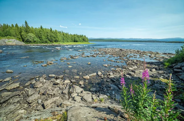Sommaren Scenery Svenska Mountain River — Stockfoto