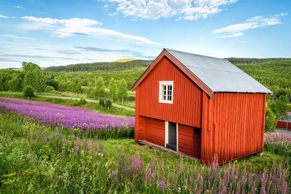 Typiska Röda Skjul Svenska Hills — Stockfoto