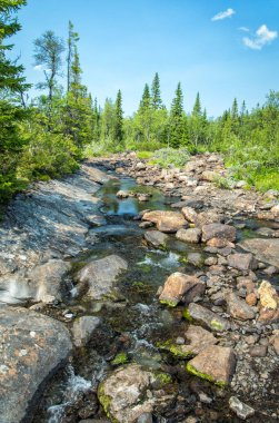 Mountain brook dikey görünümünde