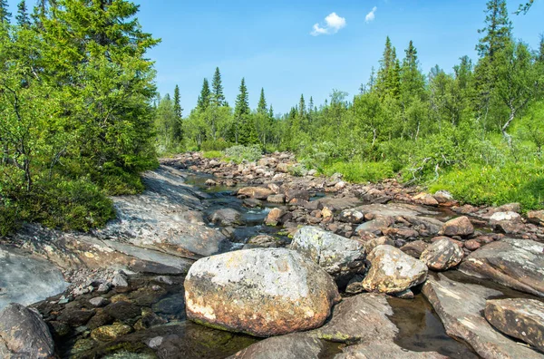 Mountain Brook Sommarsäsongen — Stockfoto