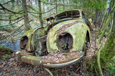 Ormanda terkedilmiş eski araba
