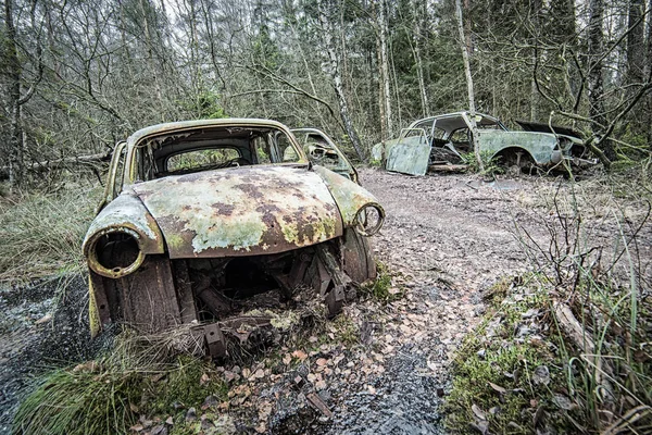 Ormandaki Eski Araba Mezarlığı — Stok fotoğraf
