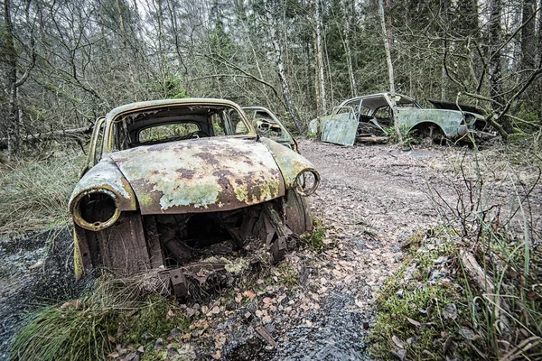 Ancien Cimetière Voitures Forêt — Photo