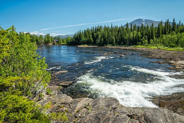 Mountain River July — Stock Photo, Image