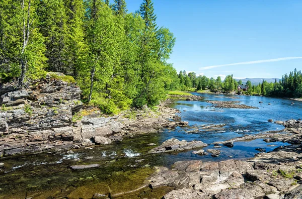 Schwedischer Gebirgsbach Sommer — Stockfoto