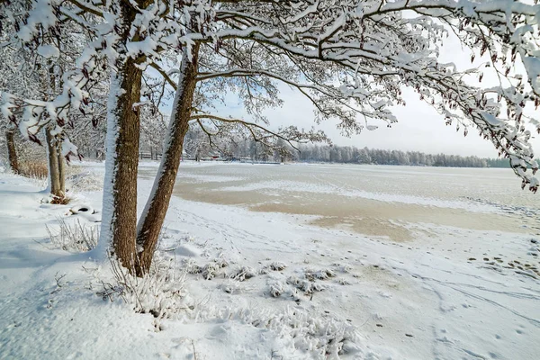 Zweedse Lake Januari — Stockfoto