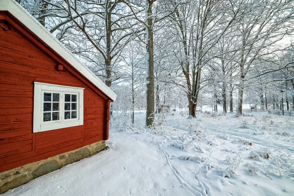 Contrastes Rústicos Invierno Sueco — Foto de Stock