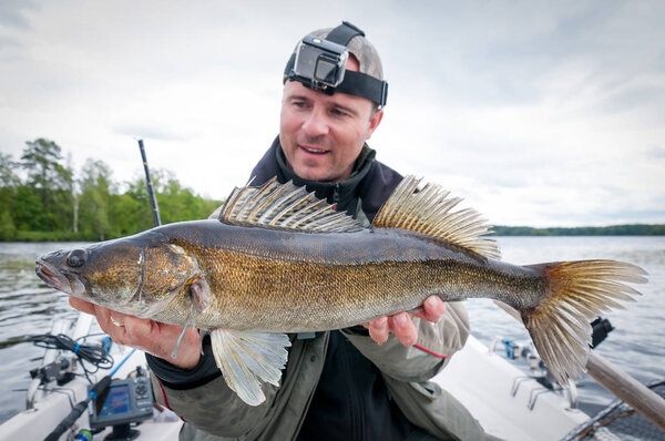 Zander from Swedish natural lake