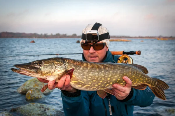 Pike Légyrúdon Téli Horgásztrófea — Stock Fotó