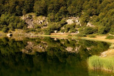 Parma, İtalya yakınlarındaki Cento Lagi parkının çok güzel bir manzarası var.