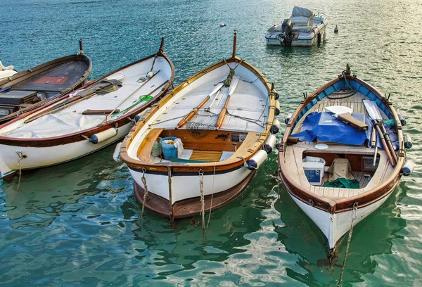 Vecchia Barca Pesca Portovenere — Foto Stock