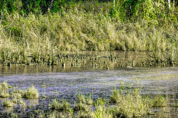 Danau Porta Tuscany Italy — Stok Foto