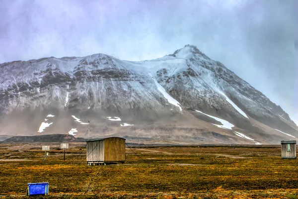 Καλοκαίρι Στην Αρκτική Spitsbergen — Φωτογραφία Αρχείου