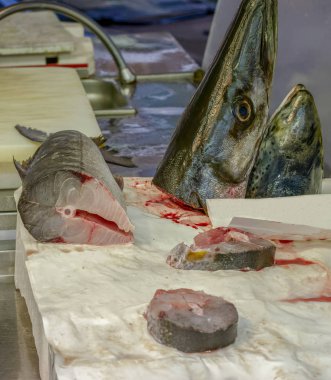 taze barracuda balık pazarında İtalya